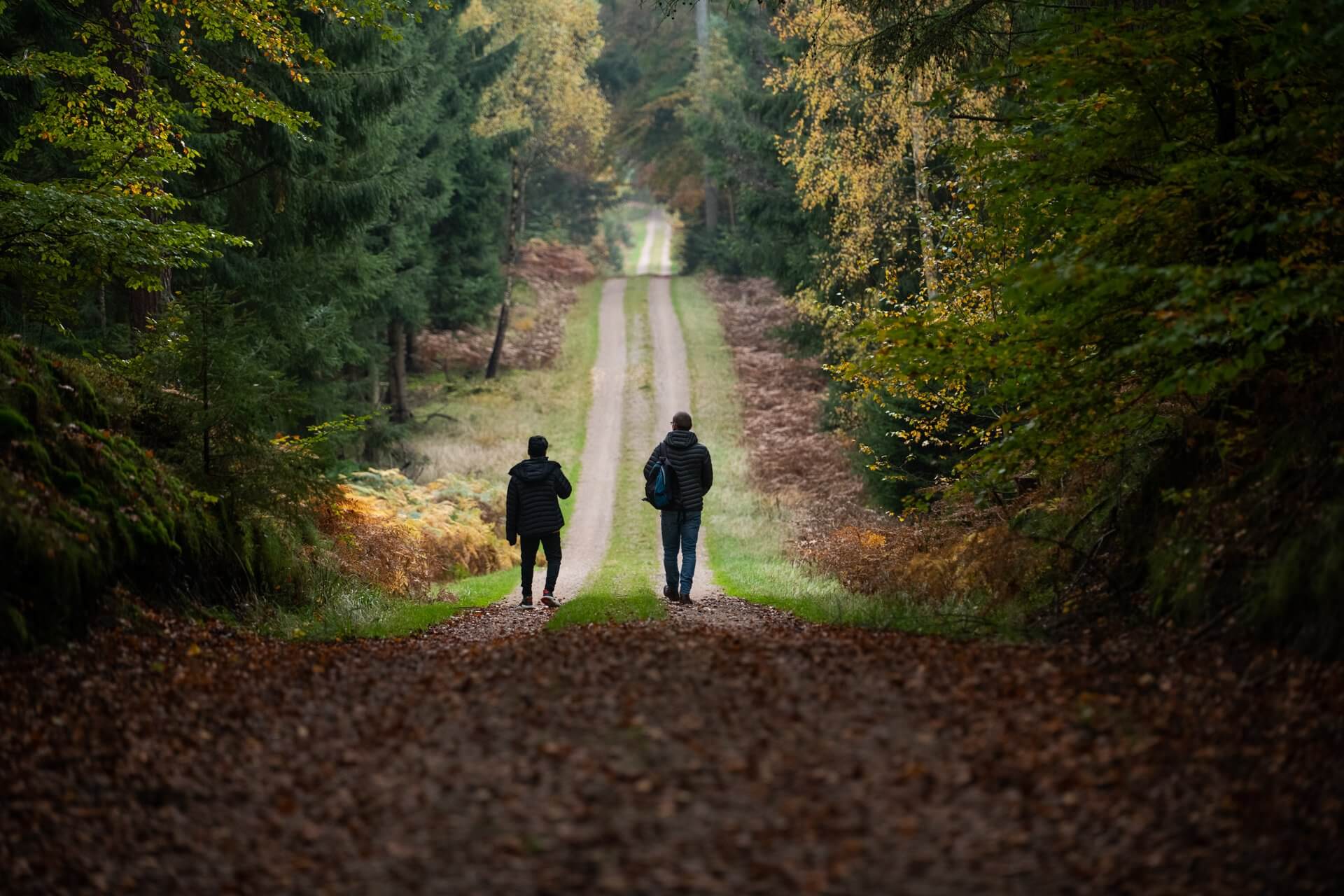autumn-parforce-forest-walking_©Tine Uffelmann_VisitNordsjælland-large.jpg
